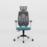 Green Soul Renewed Zodiac Superb High Back Mesh Office Chair