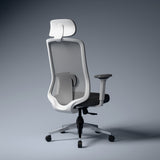 Cosmos Lite Minimal Design Ergonomic Office Chair | Synchro-Tilt Recline