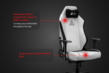 Assassin Gaming Chair