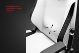 Assassin Gaming Chair