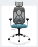 Green Soul Renewed Zodiac Pro Series High Back Mesh Office Chair